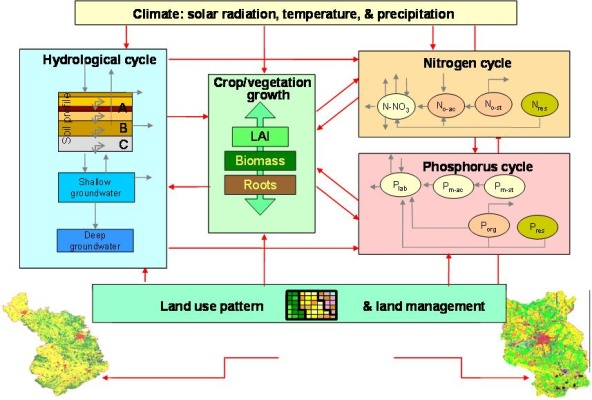 Illustration of the model structure of SWIM